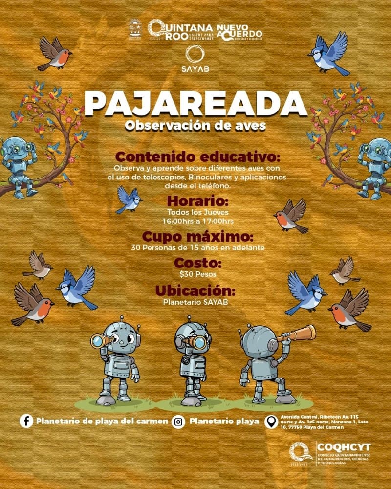 Pajareada - Observación de aves