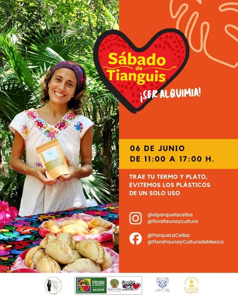 Sábado de Tianguis - Ser Alquimia