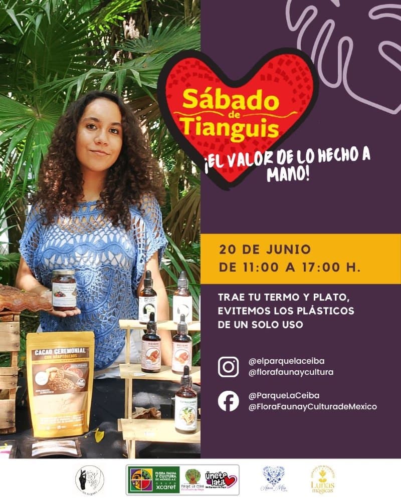 Sábado de Tianguis - El valor de lo hecho a mano