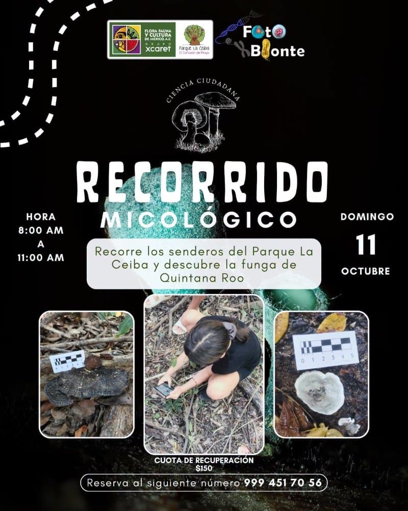 Recorrido micológico