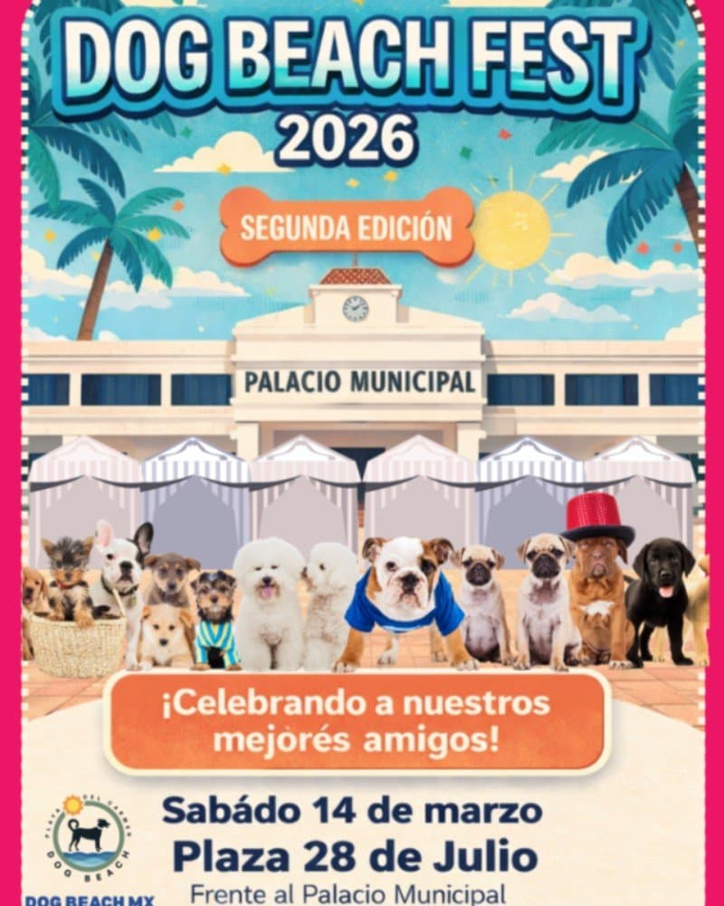 Dog Beach Fest