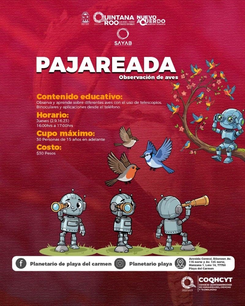 Pajareada Observación de aves 9