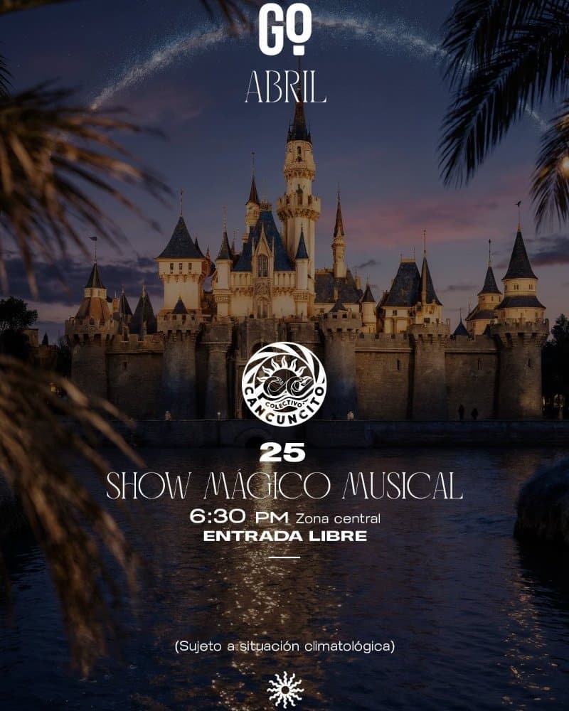 Show Mágico Musical
