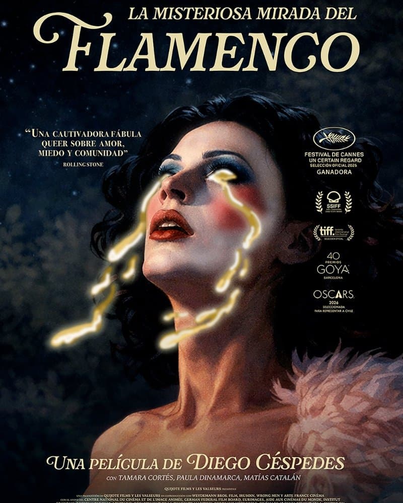 La misteriosa mirada del Flamenco