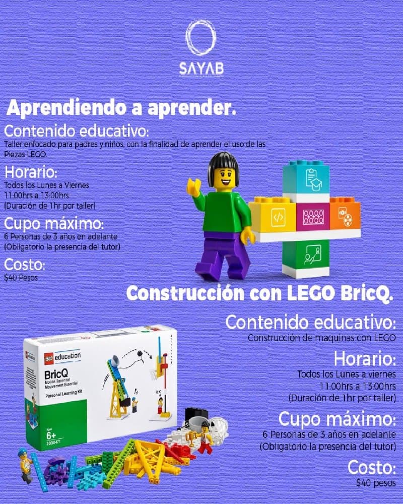 Aprendiendo a aprender/Construcción con LEGO BricQ