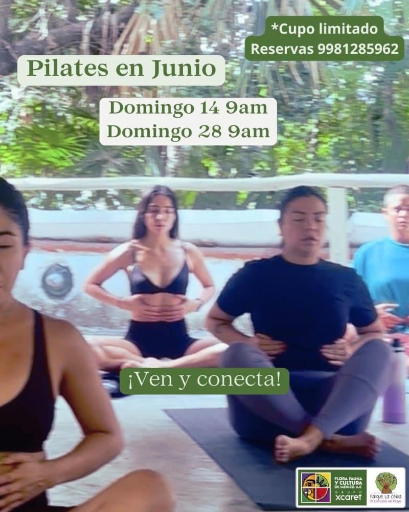 Pilates en el parque