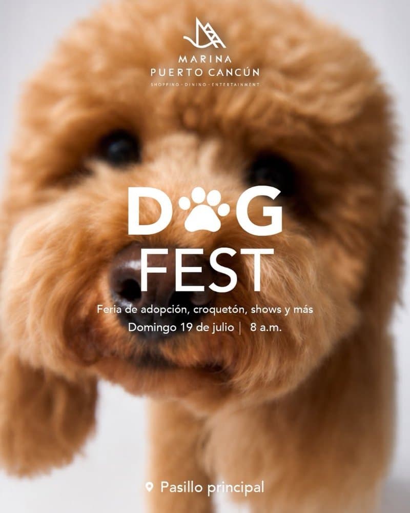 Dog fest