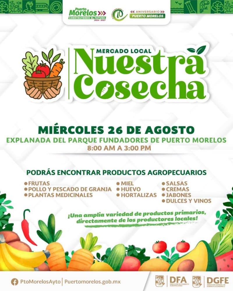 Nuestra cosecha