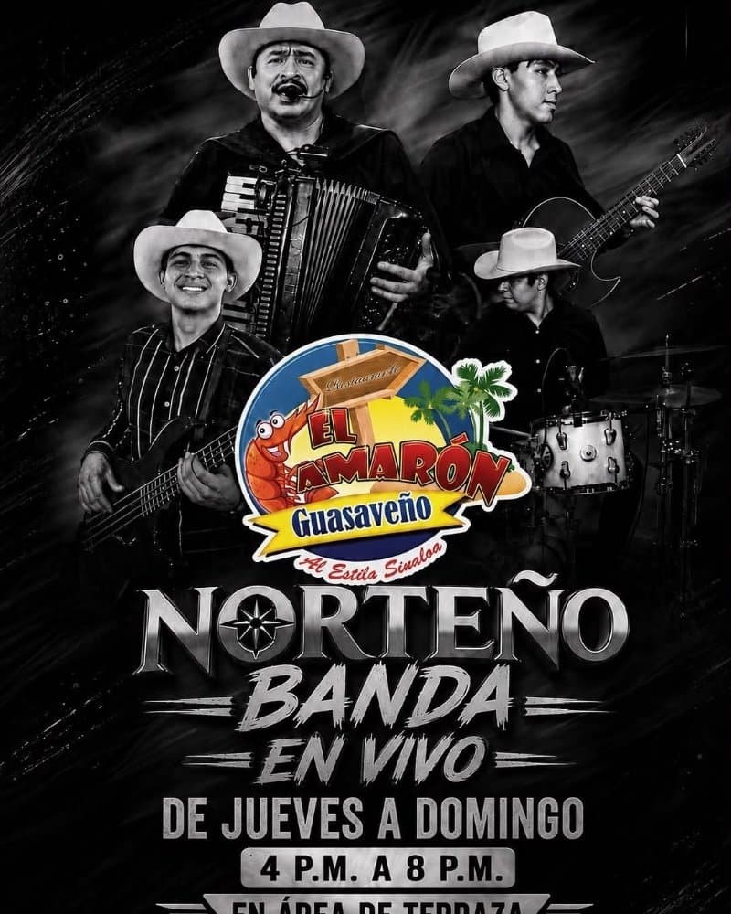 Norteño banda en vivo