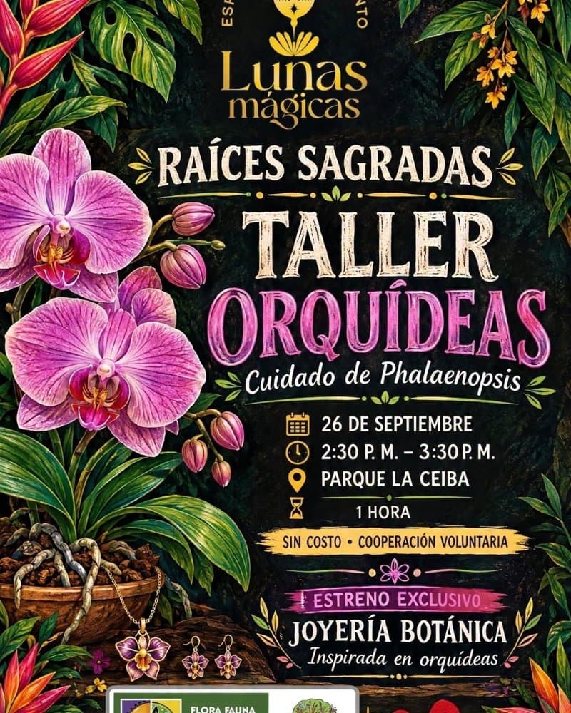 Taller de orquídeas