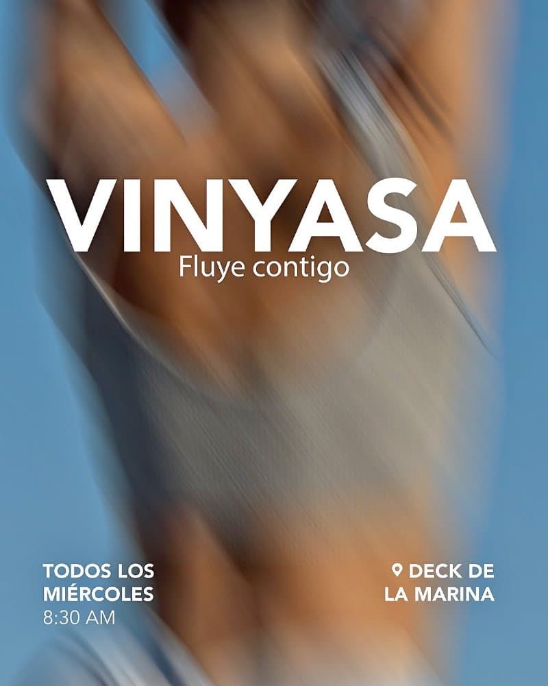 Vinyasa