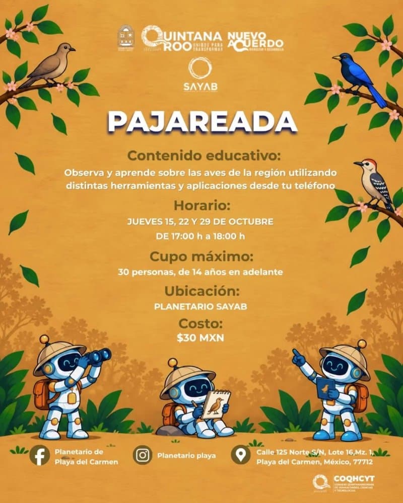 Pajareada -