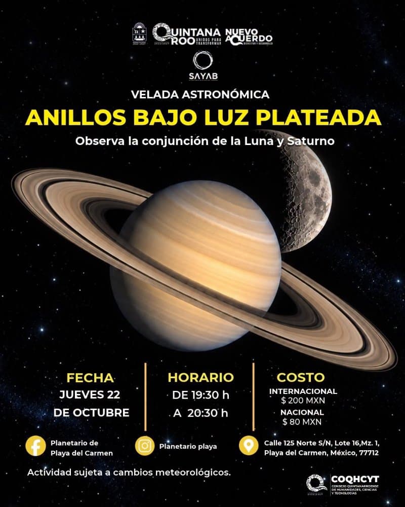 Anillos bajo la luz plateada