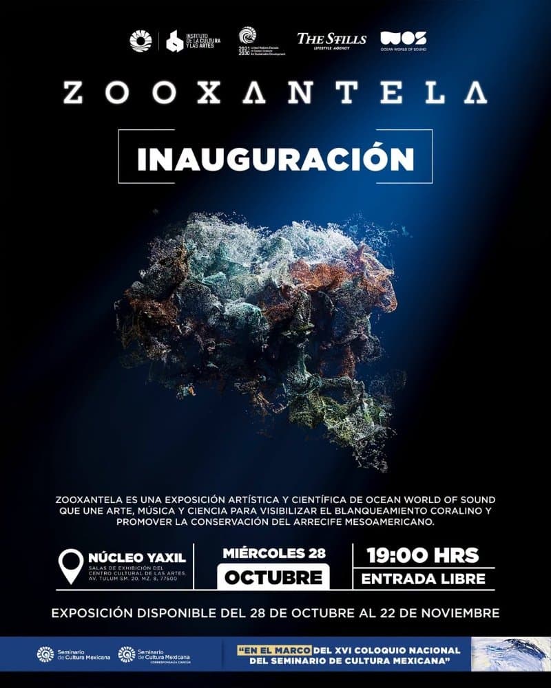 Zooxantela