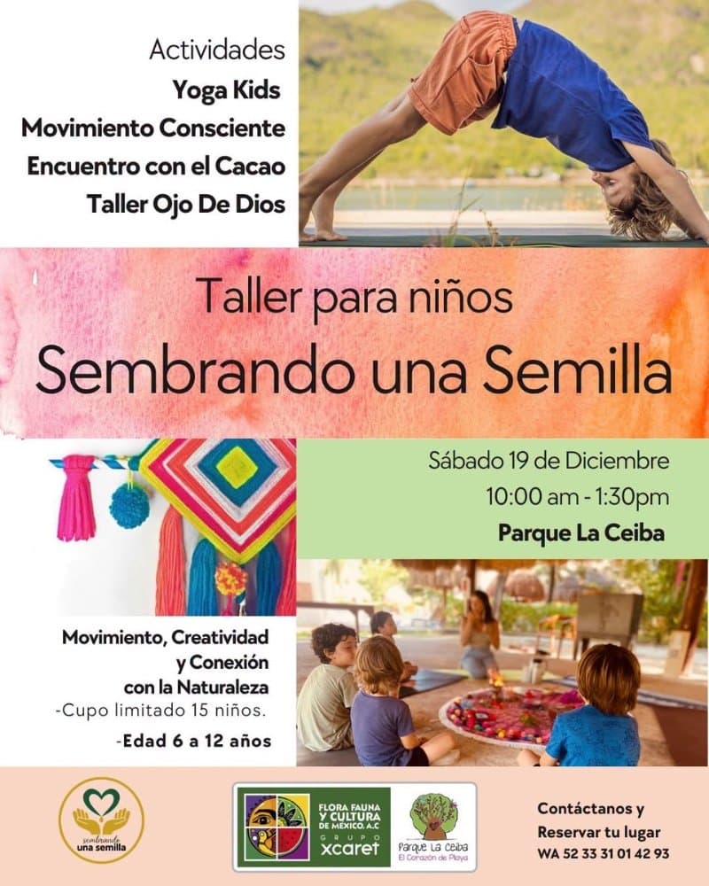 Sembrando una semilla