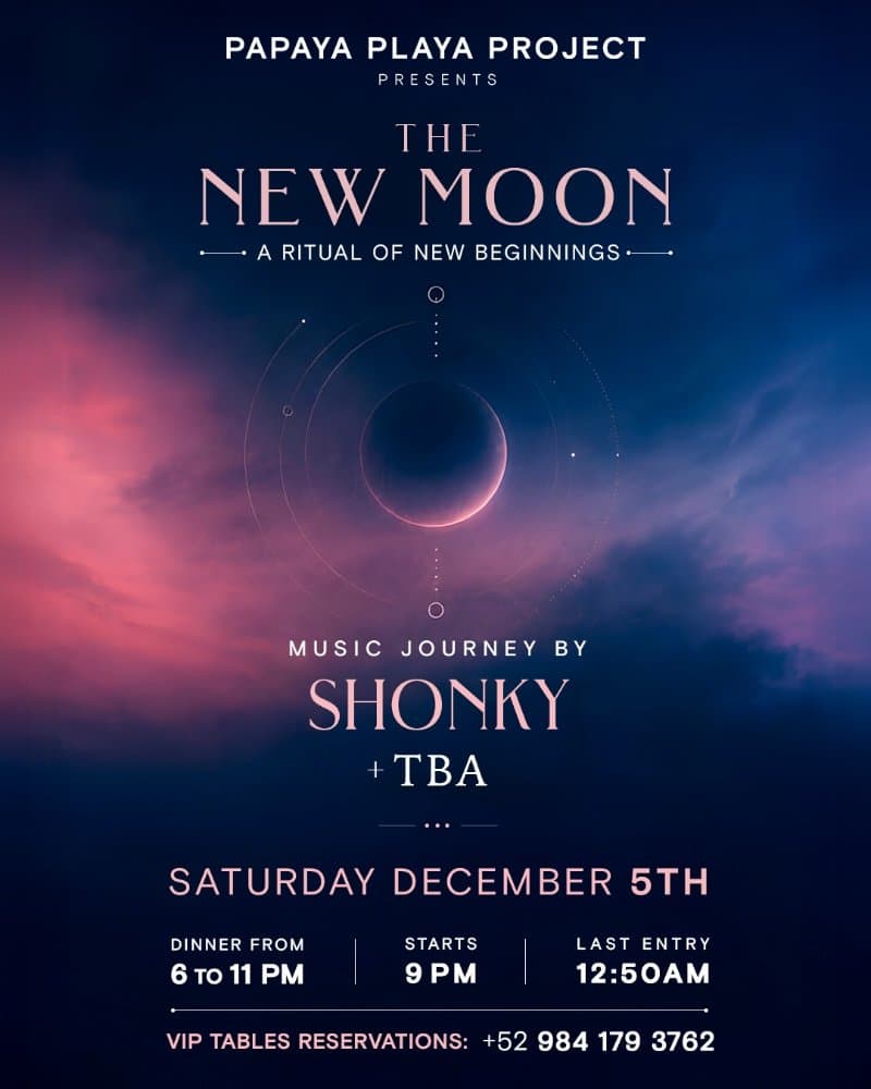 The new moon - Shonky