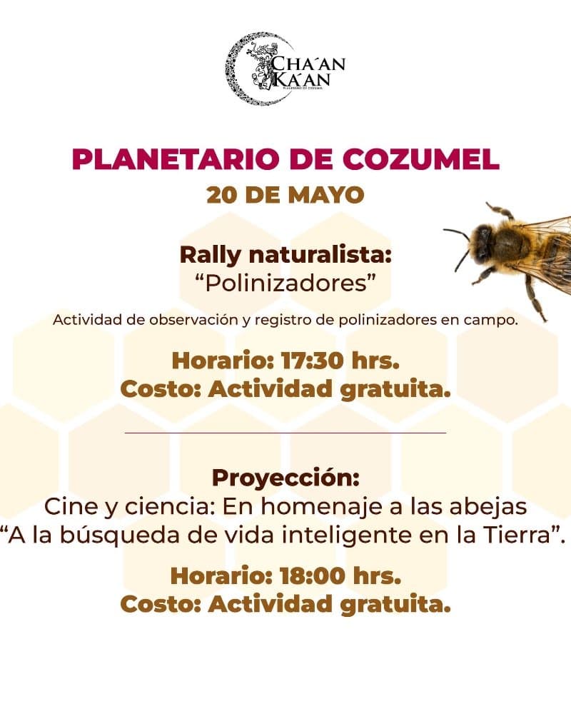 Rally "Polinizadores" y proyección