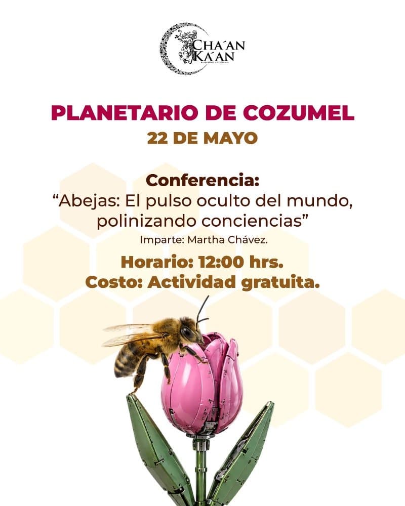 Abejas: El pulso oculto del mundo
