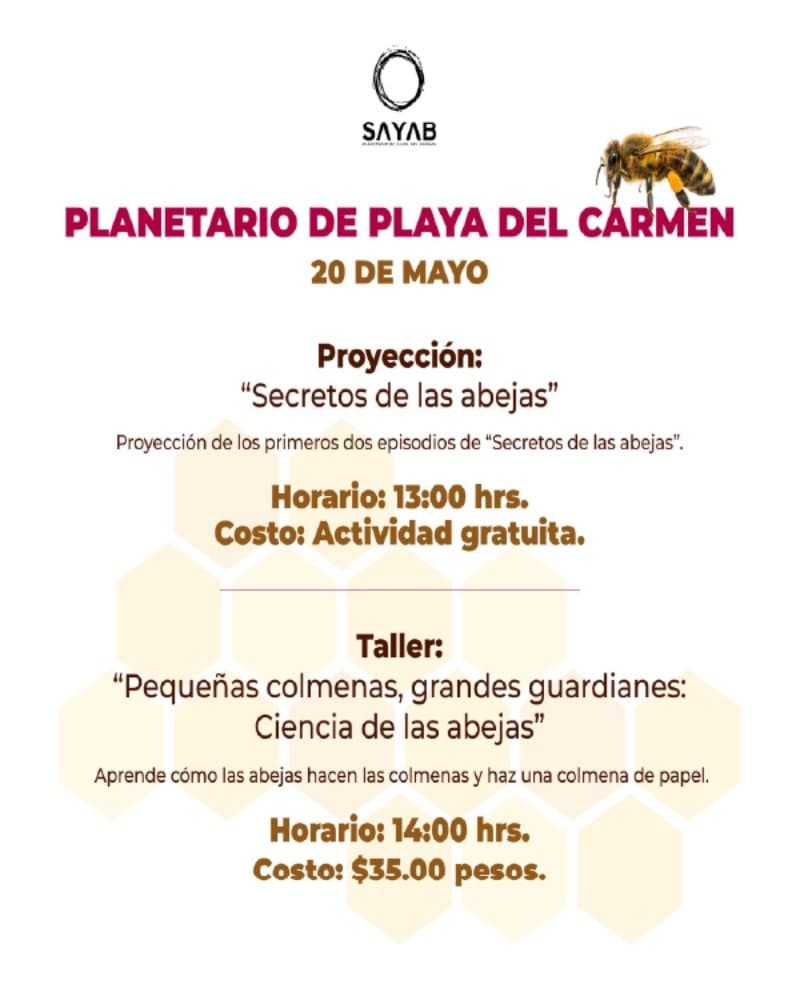 Proyección y Taller - Día mundial de las abejas