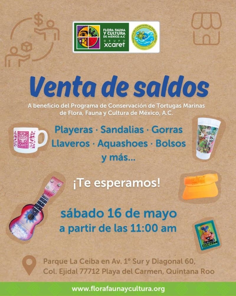 Venta de Saldos